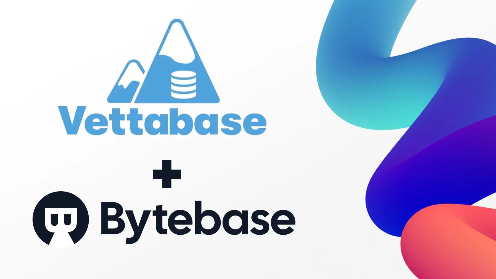 Bytebase Has Partnered with Vettabase!