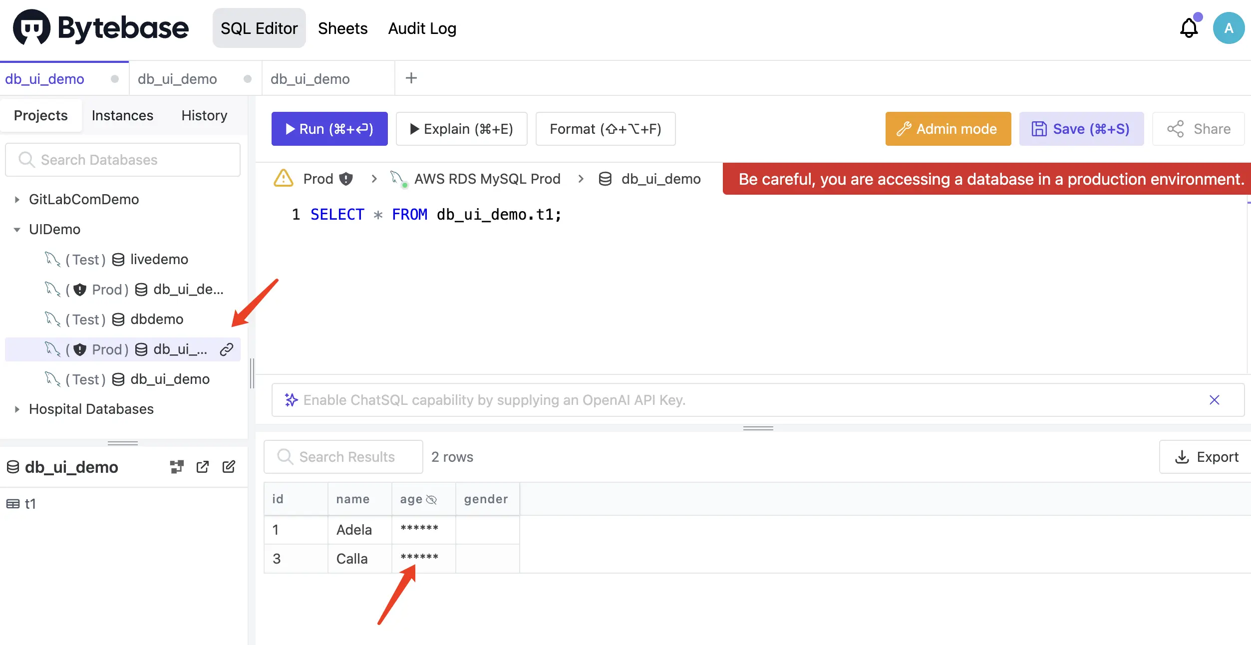 Bytebase SQL Editor with controlled data access